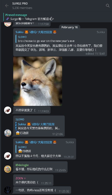 窝里斗 第二阶段：代理协议的开发者/拥趸 之间的互殴如果说 2025 年机场主（或 DDoS 攻击者）发起的入口相互举报/通报是「第一阶段」，那么今天浮出水面的代理协议开发者/拥趸之间的举报即是「第二阶段」