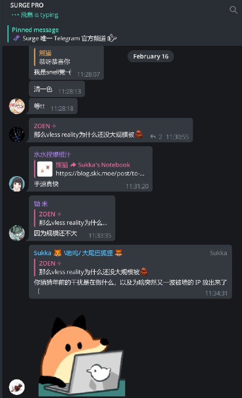 窝里斗 第二阶段：代理协议的开发者/拥趸 之间的互殴如果说 2025 年机场主（或 DDoS 攻击者）发起的入口相互举报/通报是「第一阶段」，那么今天浮出水面的代理协议开发者/拥趸之间的举报即是「第二阶段」